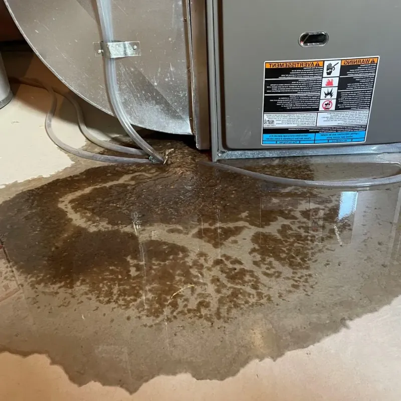 Pipe Burst and Leak Restoration in Georgetown, OH