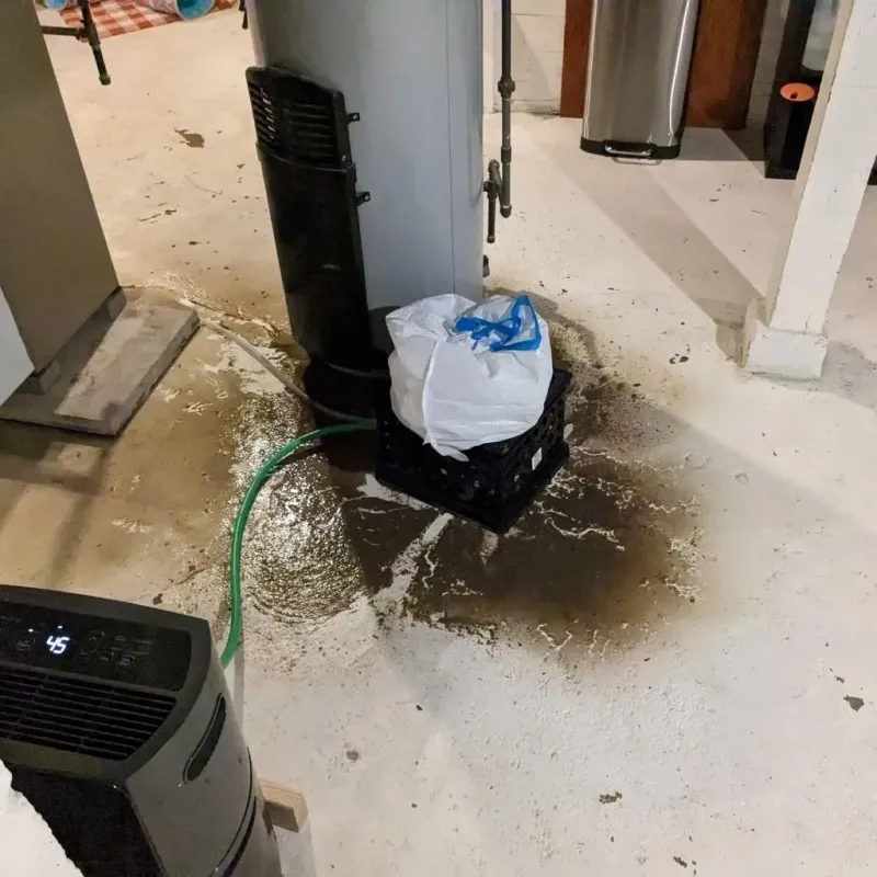 Sewage Backup Cleanup Service in Georgetown, OH